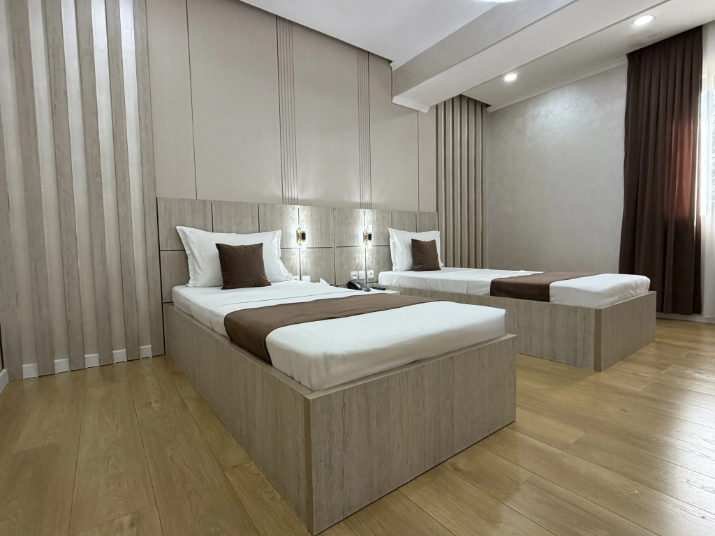 Standard Double room with balcony and with city view (twin beds)