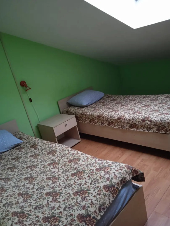 Economy Double Attic room (twin beds)