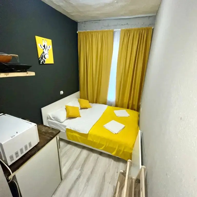 Отель Апартаменты Roomstay 11 линия 44 Double Studio #2 в Санкт-Петербурге