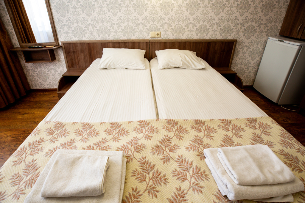 Economy Double room with balcony (twin beds)
