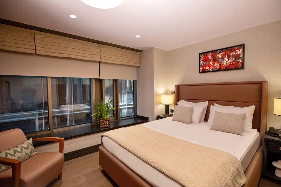 Standard Double room (full double bed)