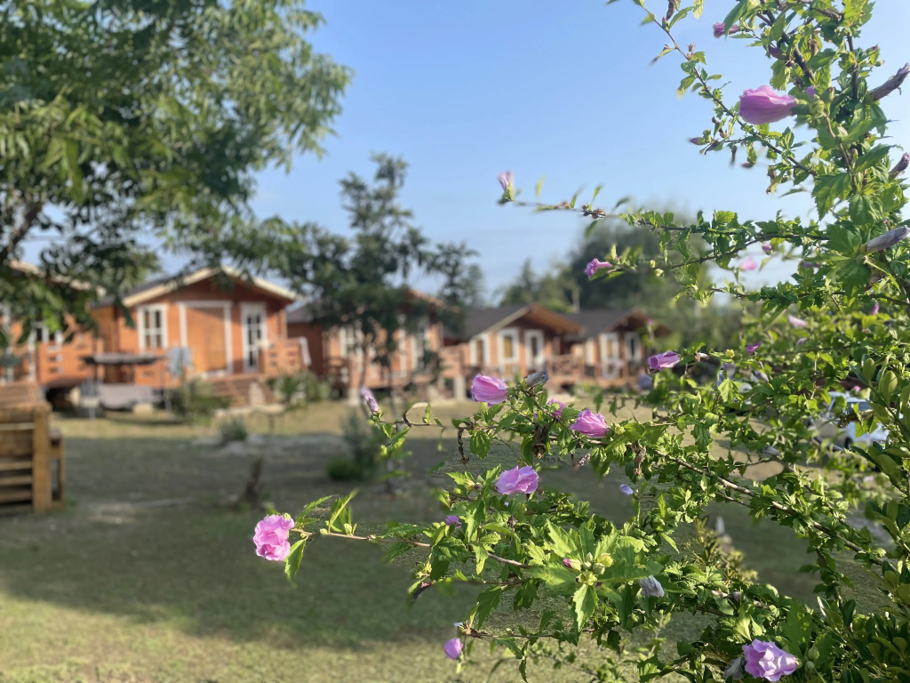 Eko Kottedzhi u Morya Recreation Center
