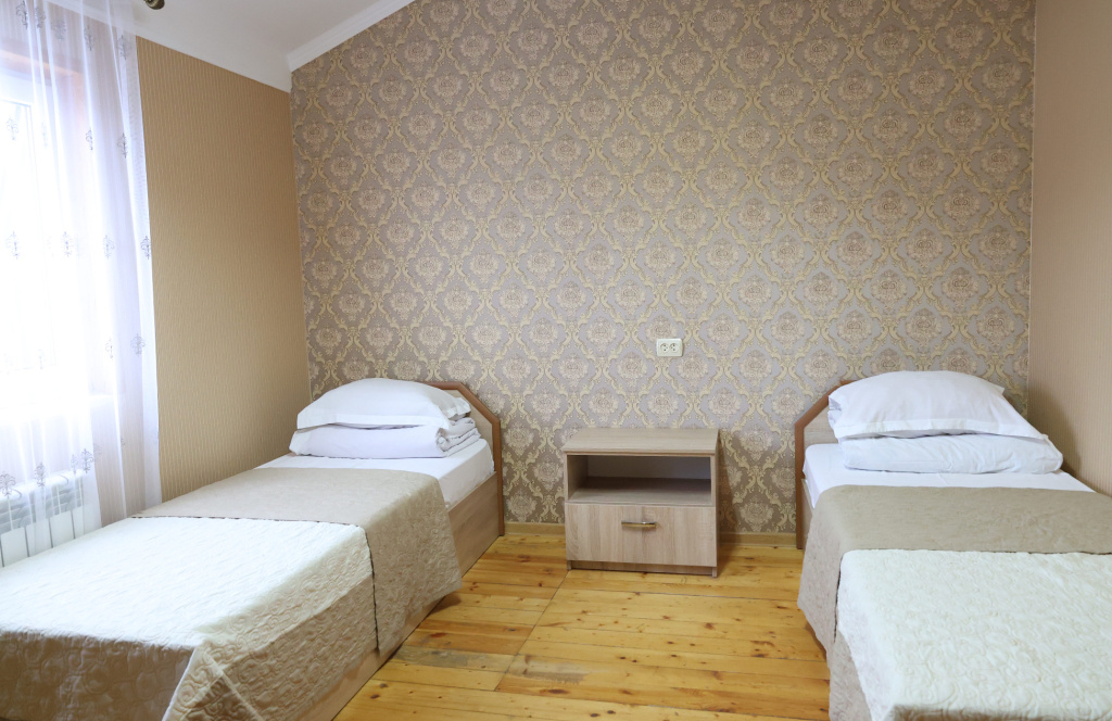 Standard Double room with mountain view (full double bed)
