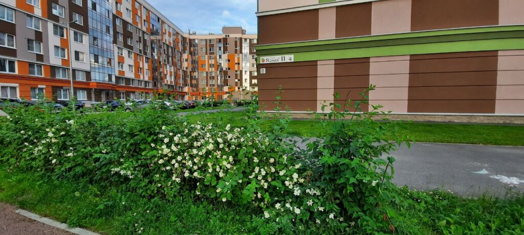 Снять квартиру янино 1. Янино-1 ленинградская область. Снять квартиру янино 1. 2. Янино ясная 1.