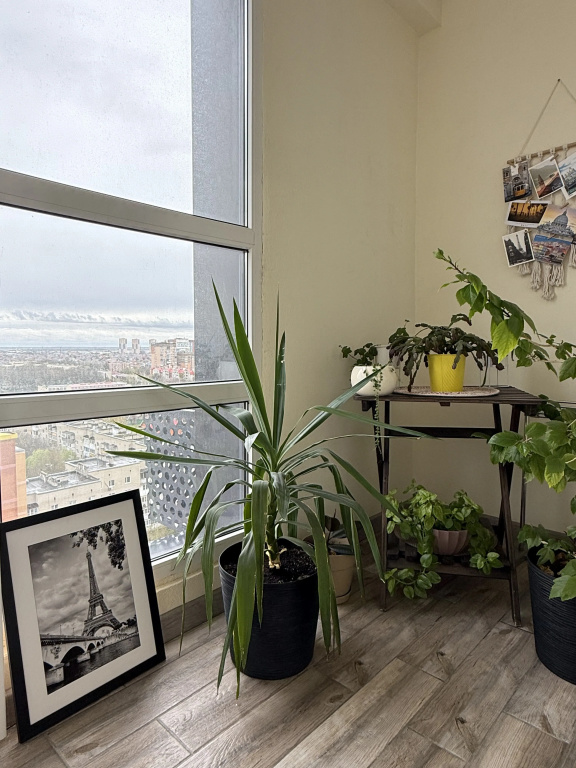 Hotel photo 50