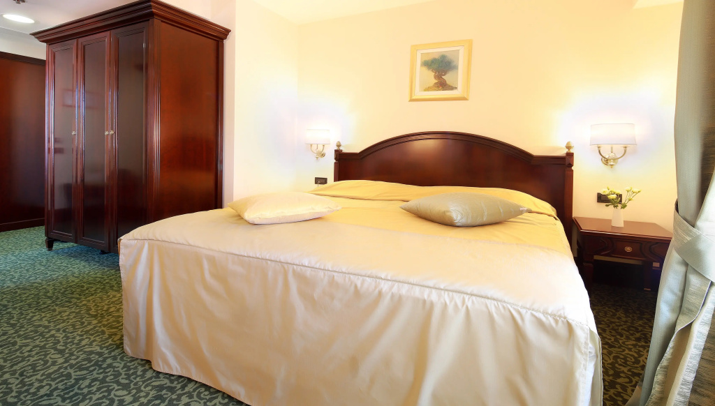 Standard Double room (full double bed)