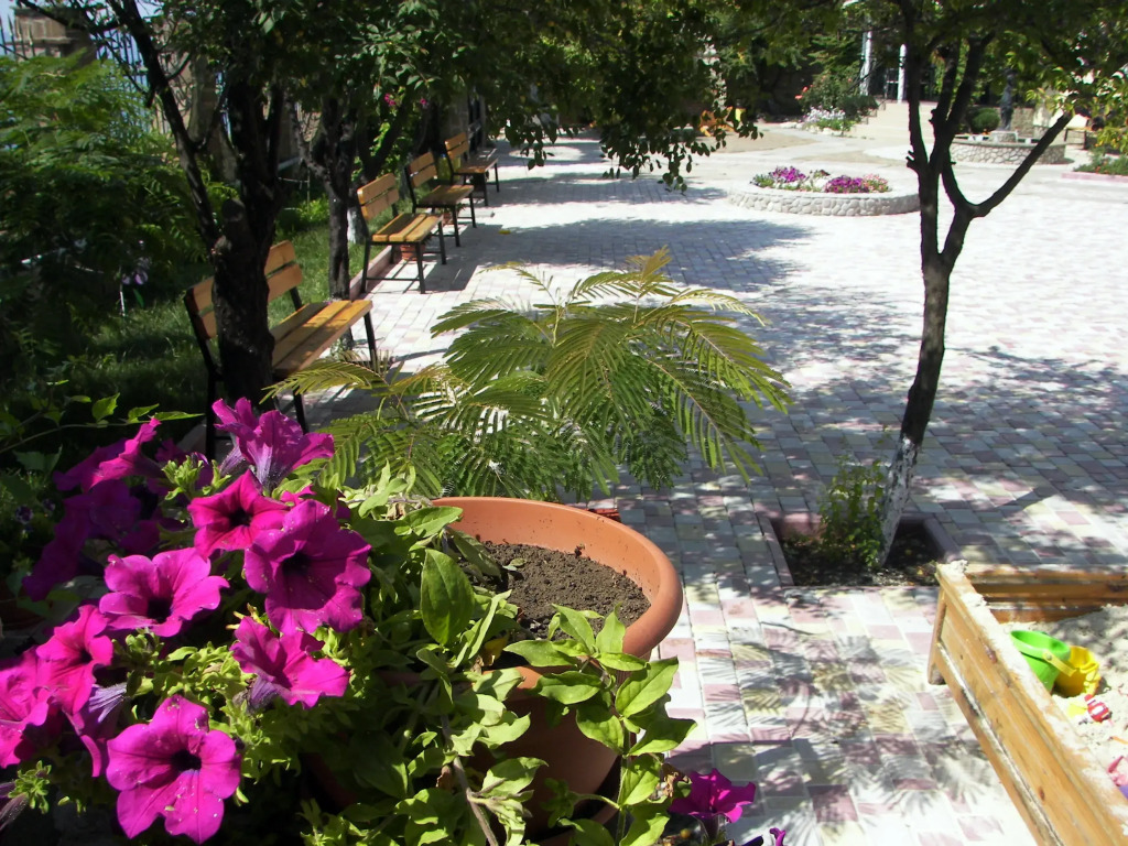 Приморский Дворик - фото 3