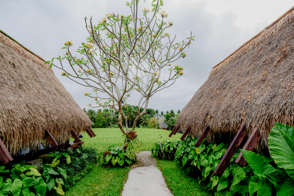 Отель Ubud Rice Field Stay - Mahari by WAHM