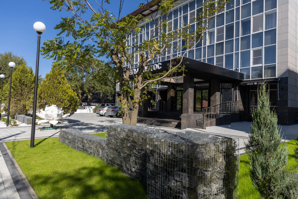 Отель Белый Лотос - фото 11