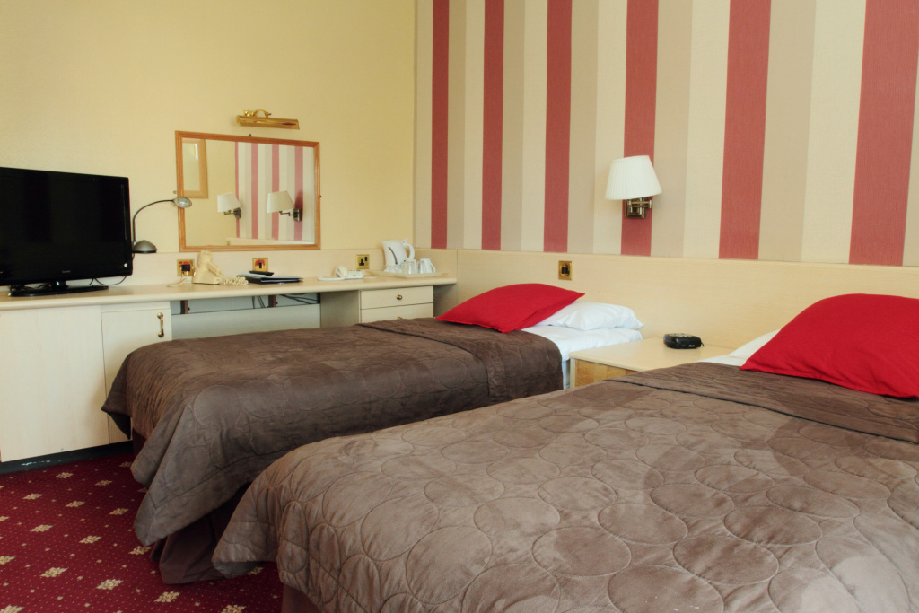 Standard Double room with view (twin beds)