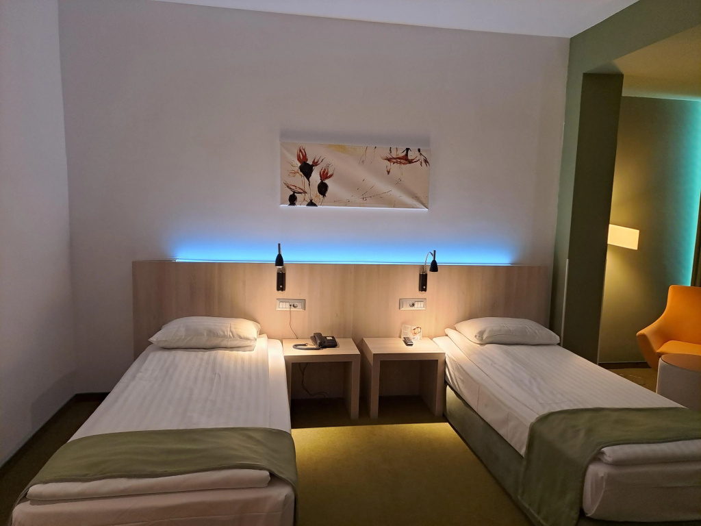Executive Double room with view (twin beds)