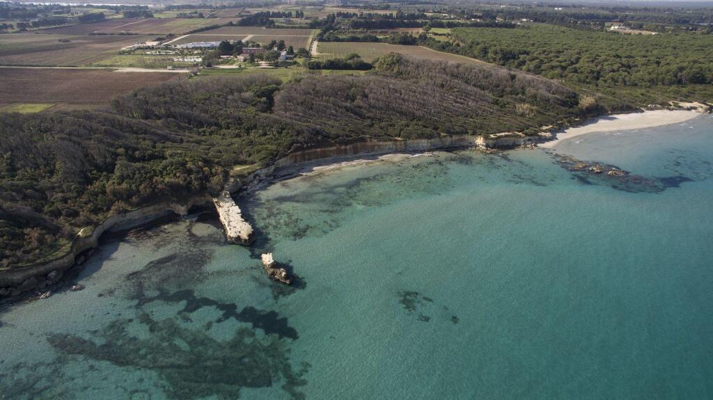 Masseria Mongiò dell'Elefante by null