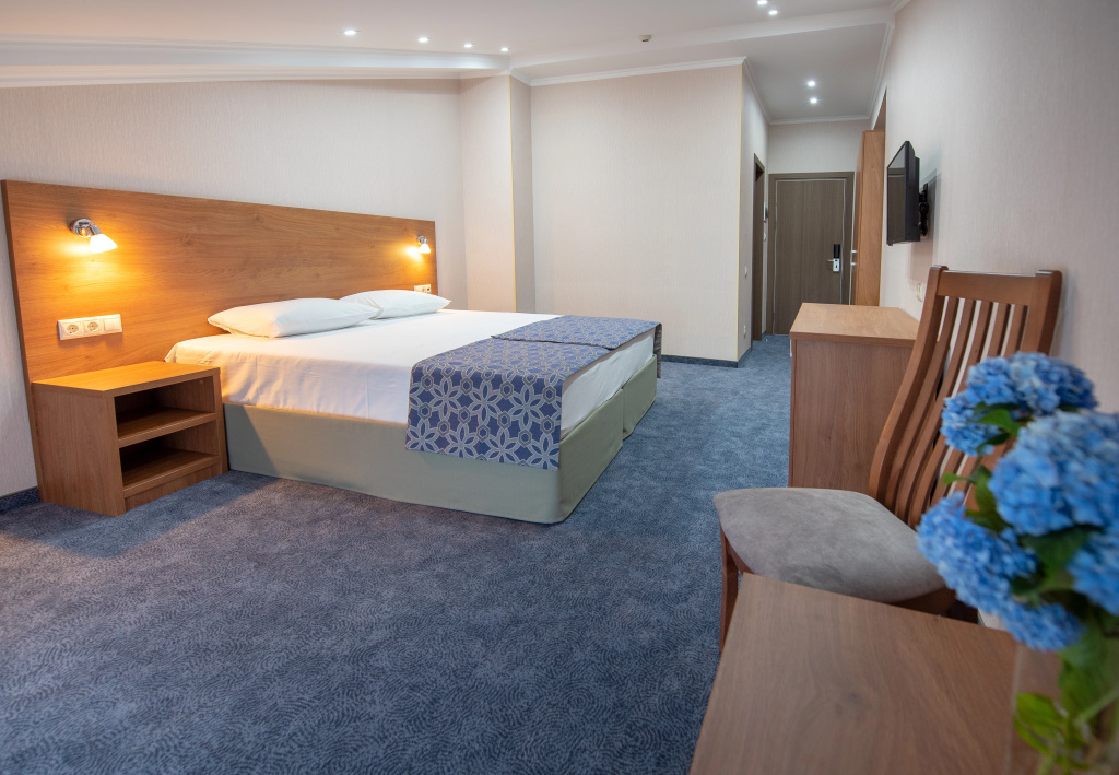 Standard Double Attic room (full double bed)