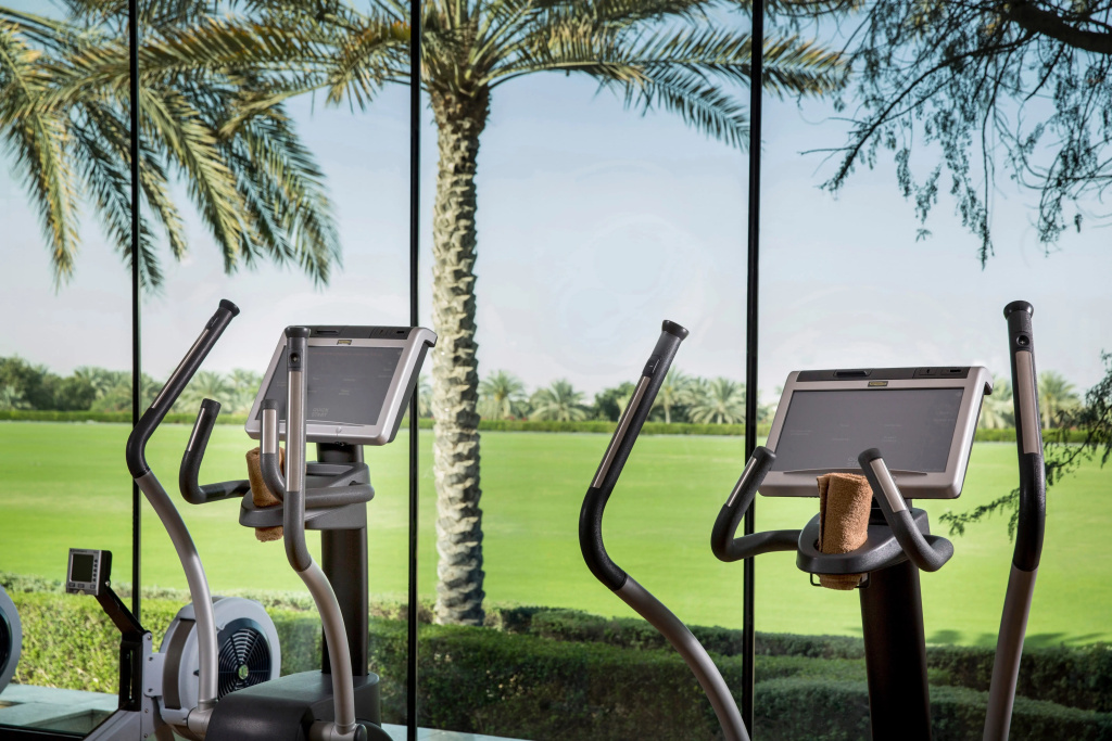 Meliá Desert Palm Hotel - Général