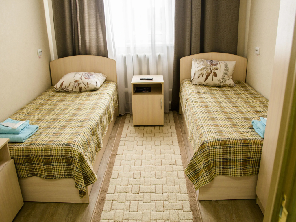 Standard First Category Double room (twin beds)