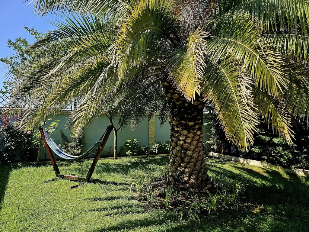 Dachis Villa