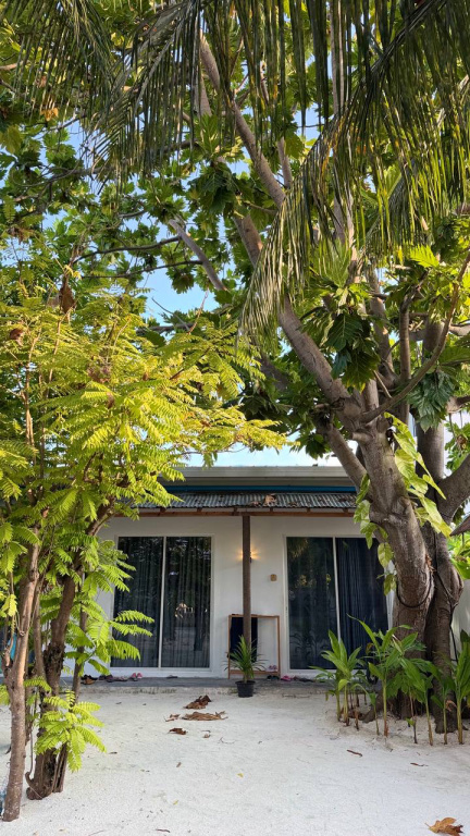 Island Serenity Guest house Dhiffushi — о. Діффуші, Мальдіви мініатюра 31