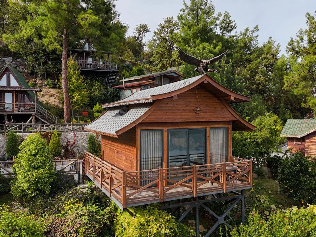 Premium Suite with balcony and with lake view