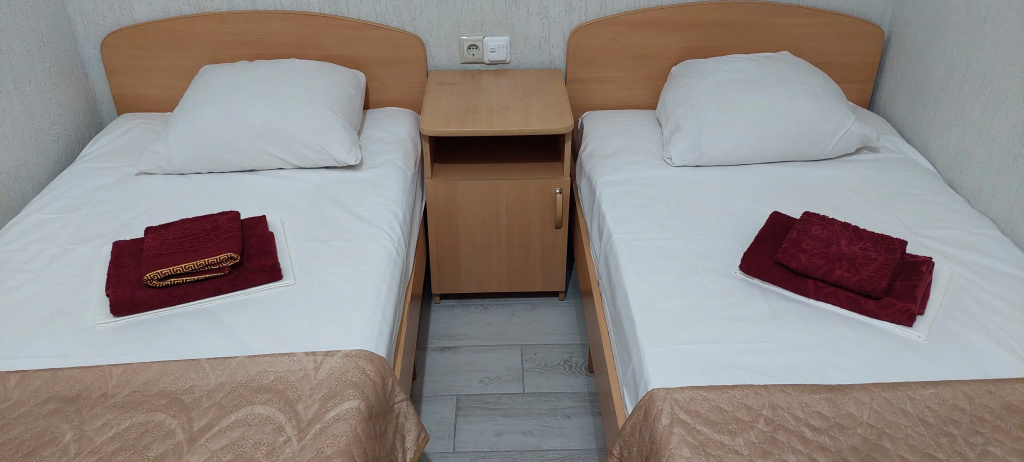 Standard Double room with view (twin beds)