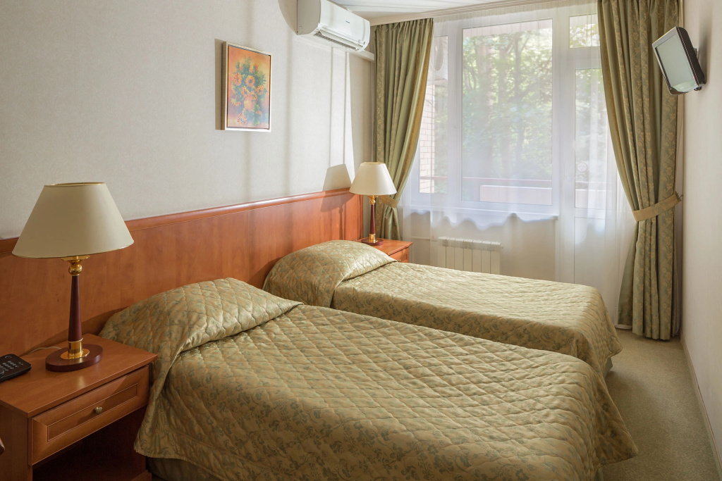 Standard Double room (full double bed)