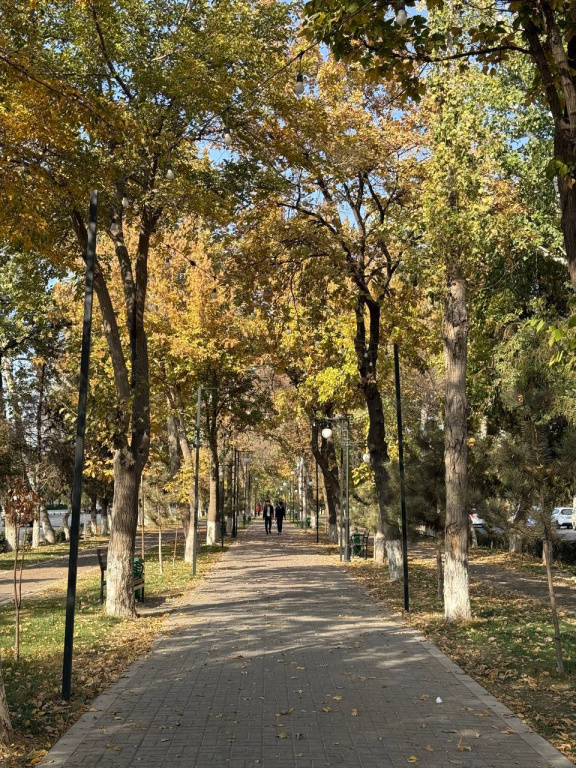 MOK Apartments