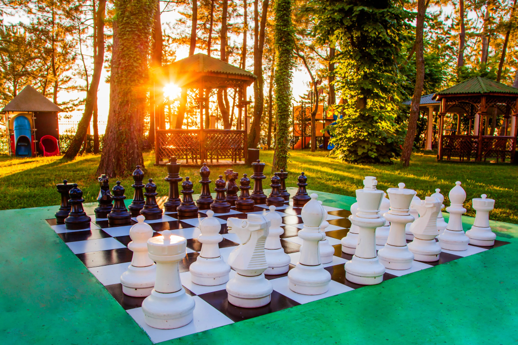 Отель Georgia Palace Hotel & SPA - фото 26