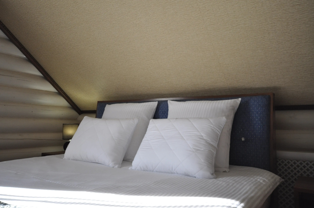 Standard Business Double room (full double bed)