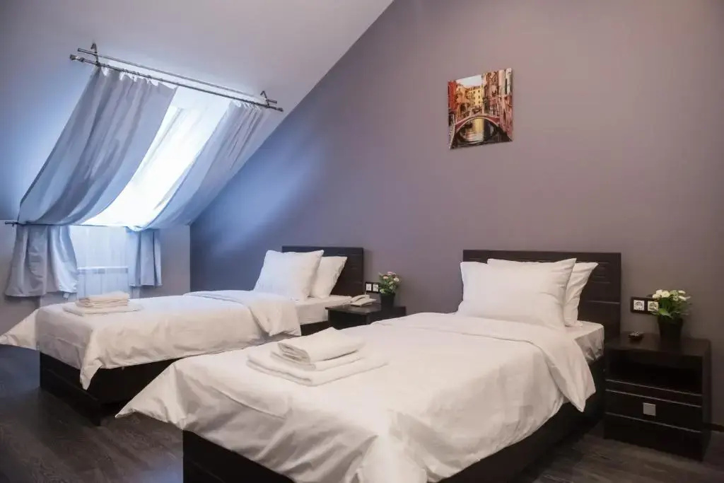 Superior Double Attic room (twin beds)