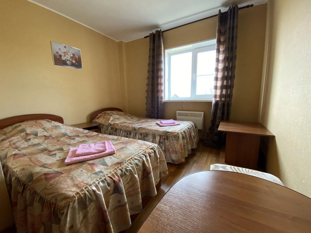 Standard Double room with view (twin beds)