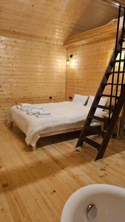 Mood villa kazbegi with tube Chalet 1