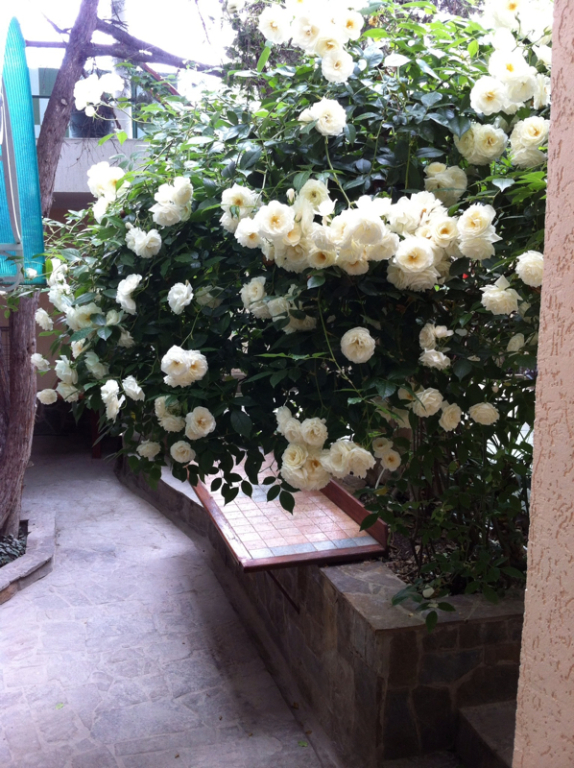 Апартаменты Голицына 19 2 - фото 10