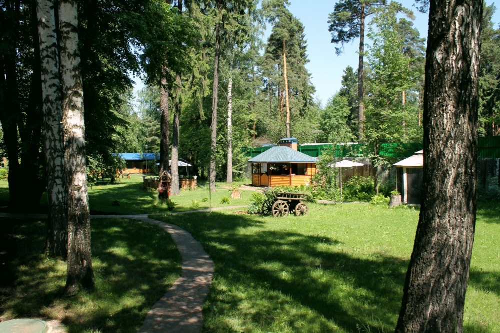 Арт-отель Пушкино — фото
