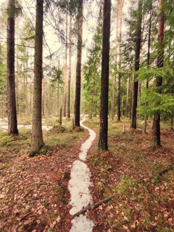 Четырёхместный коттедж с 2 комнатами в Экара