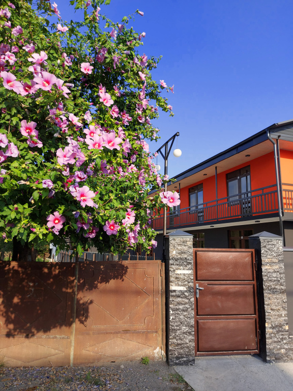 Guest house Amore More