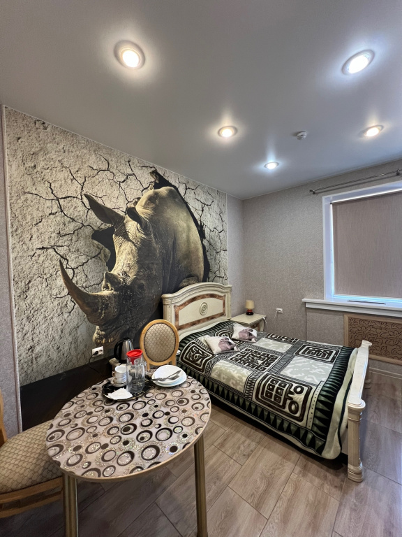 Standard Double room with city view (full double bed)