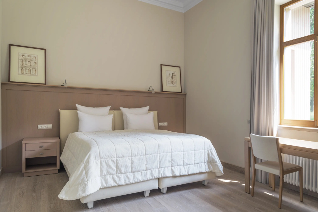 Superior Double room with park view (twin beds)