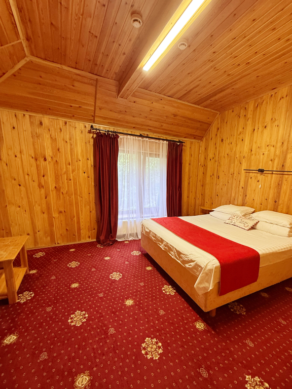 Двухместный номер Standard двуспальная кровать в Легенда