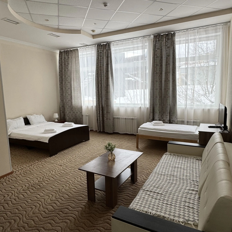 Standard Double room (full double bed)