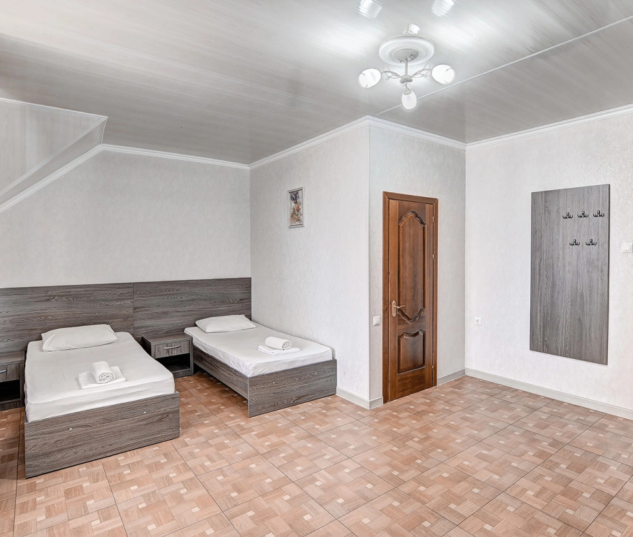 Standard Double room (twin beds)