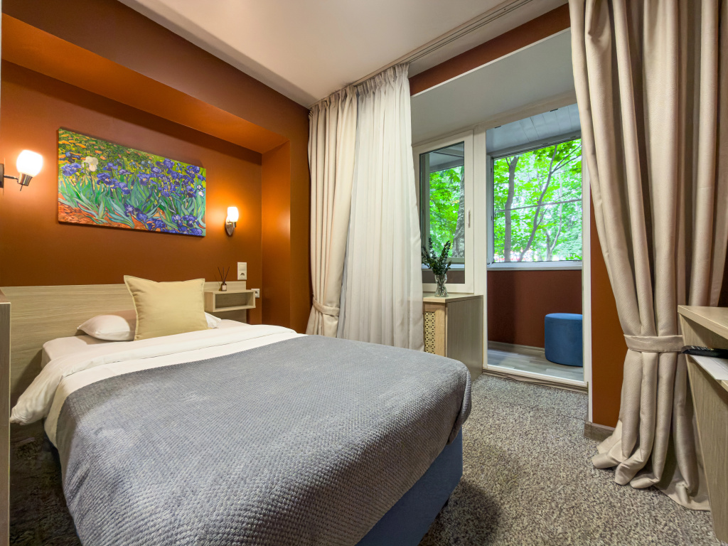 Standard Single room with balcony and with city view