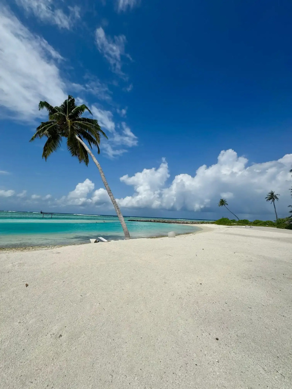 Island Serenity Guest house Dhiffushi — о. Діффуші, Мальдіви мініатюра 21