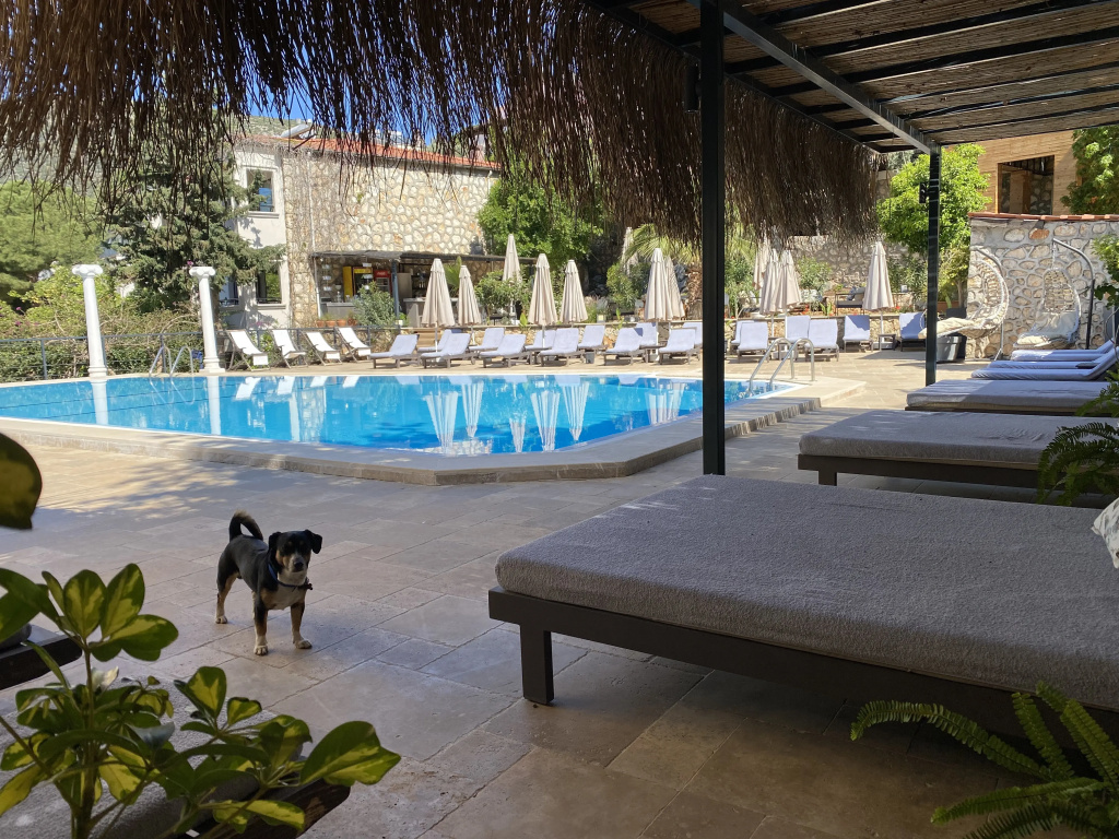 True Blue Boutique Hotel Kalkan - 4