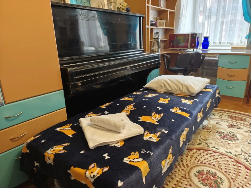 Отель Меблированные комнаты Центр Пушкинская 10 в Санкт-Петербурге