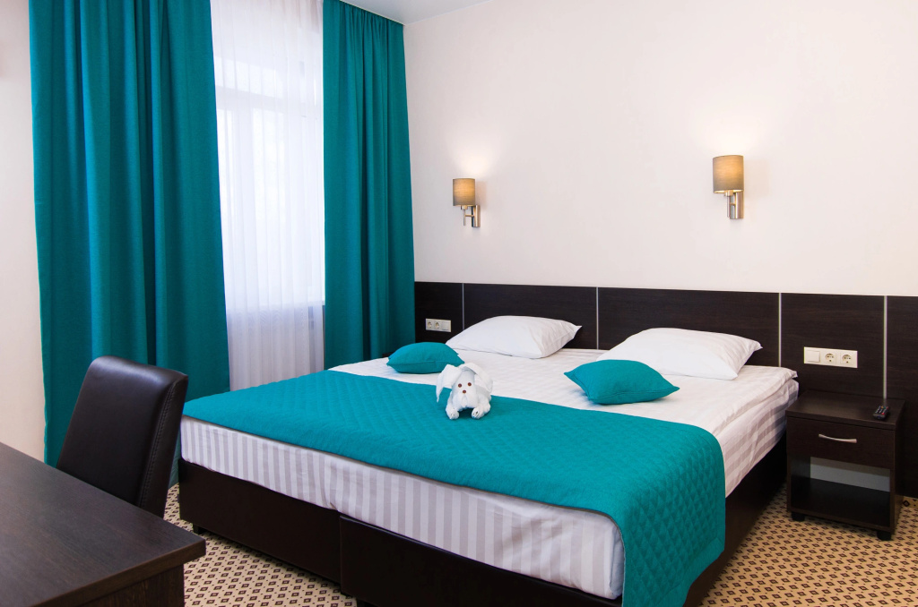 Brown Hotel Room Type - Comfort Double room with city view full double bed