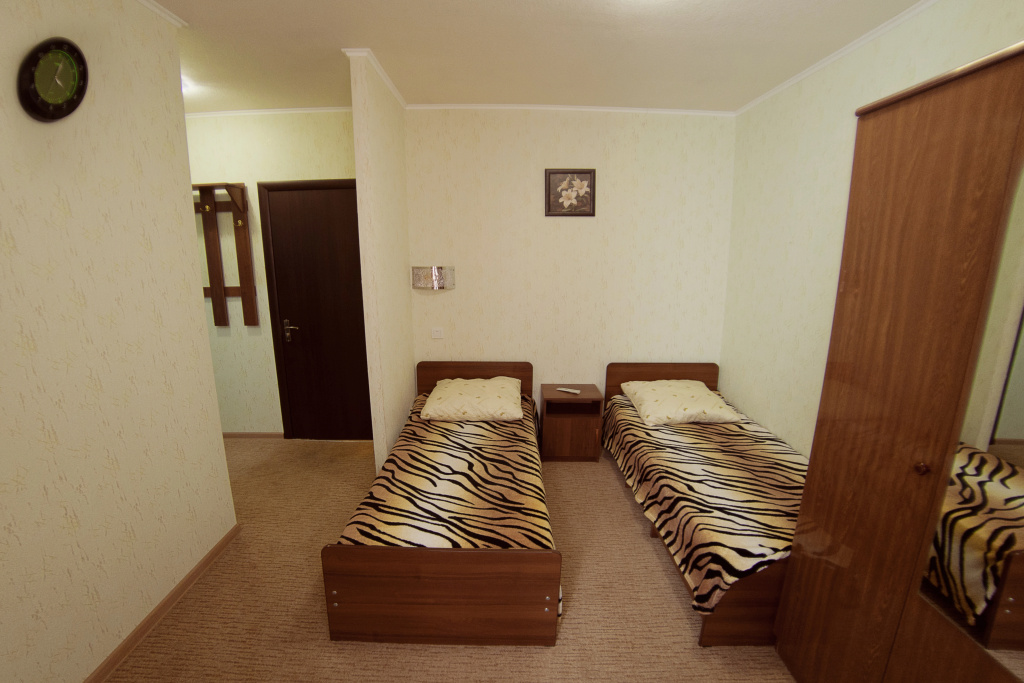 Standard Double room (twin beds)