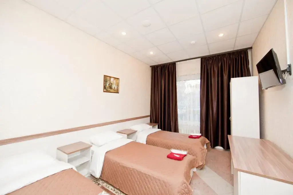 Ladomir Na Zelevom hotel Room Type - Economy Triple room