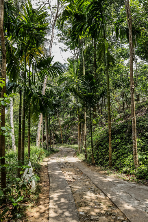 Отель The Flame Tree Estate - фото 37