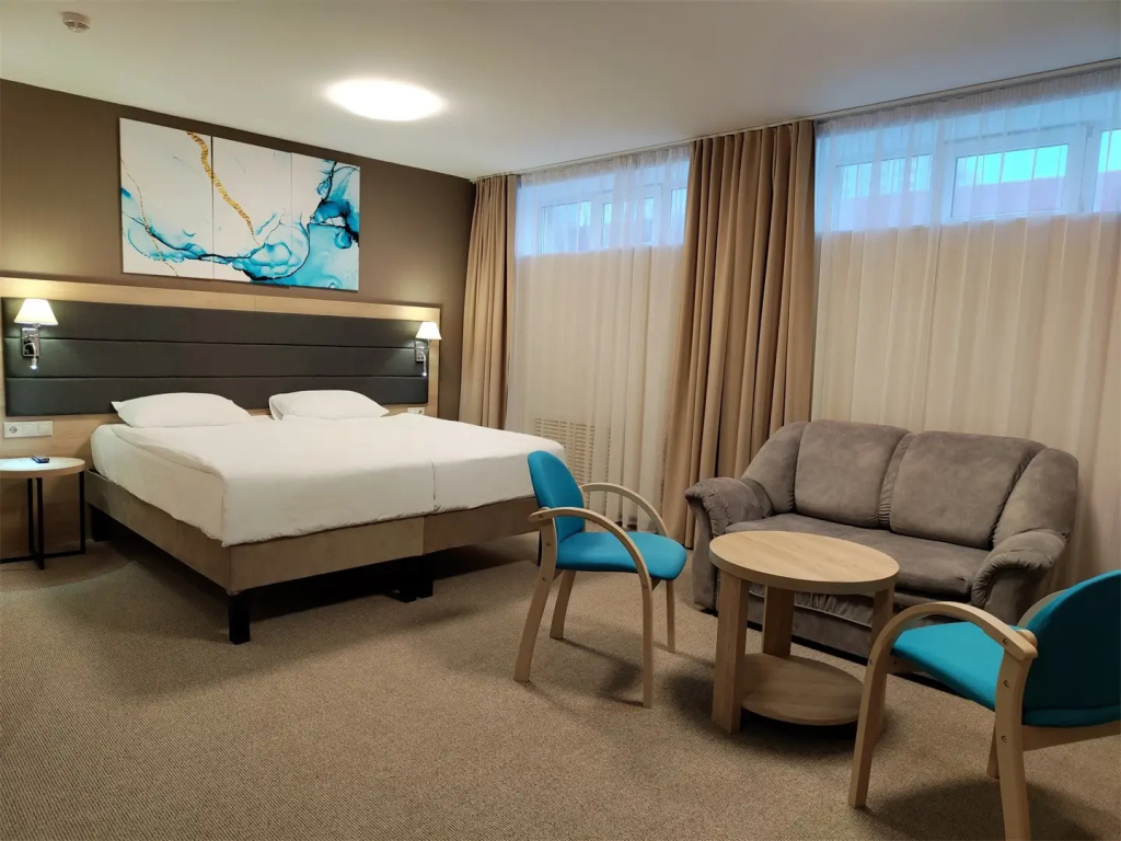 Amaks Voronezh Park Hotel Room Type - Without window Double Studio full double bed