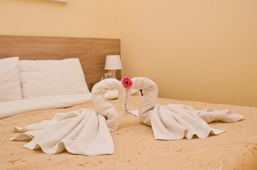 Plaza Hotel Room Type - Double Suite with balcony full double bed