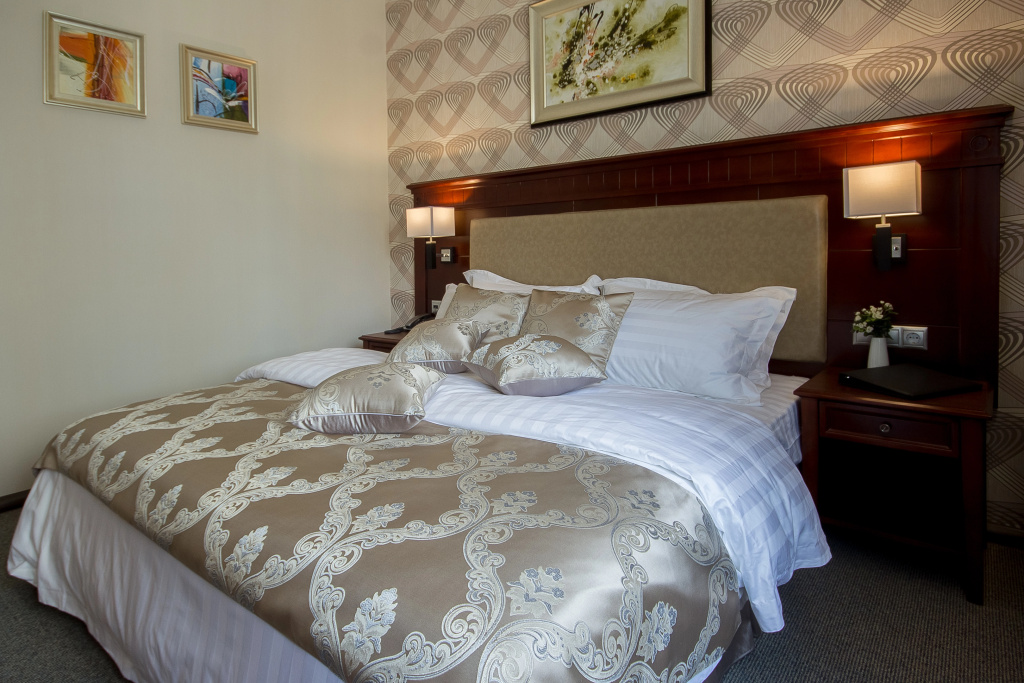 Sky Tsentr Hotel Room Type - Double Suite full double bed